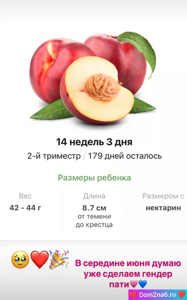 Таня Репина пишет