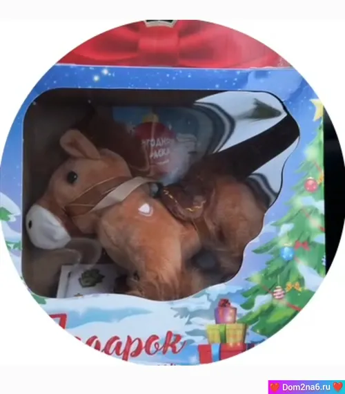 Лошадь для Сергея Хорошева