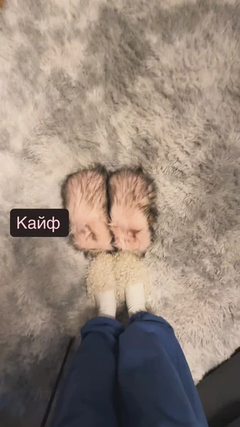 Тапочки Нелли Ермолаевой