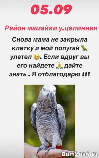 Ксения Задойнова пишет